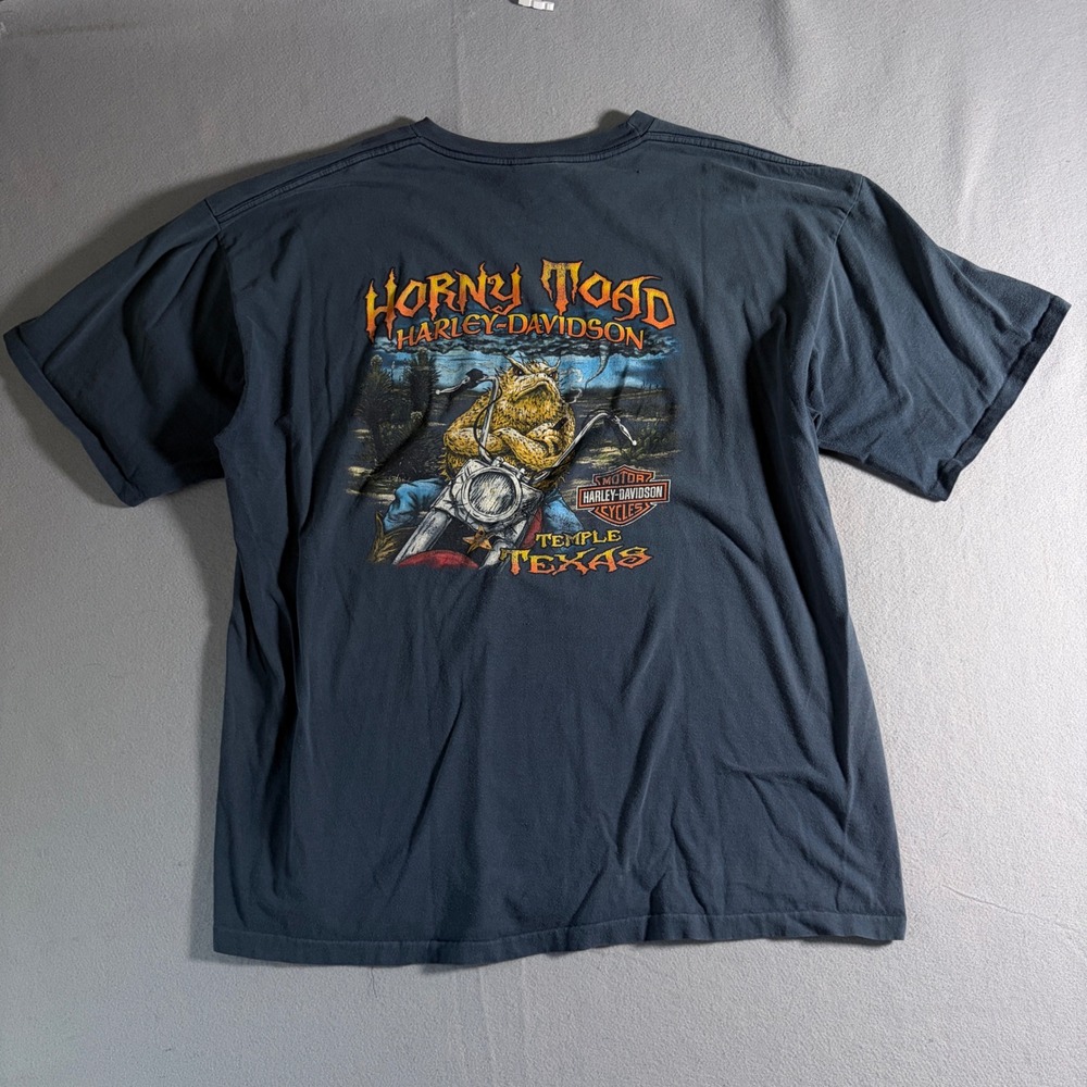 Harley Davidson Horny Toad Temple Texas Graphic T-Shirt Mens 2XL Blue Faded